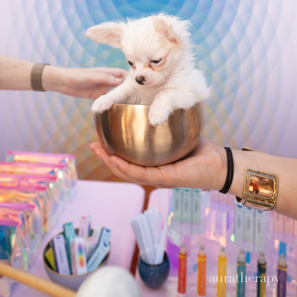 Sound as Medicine. How Hess Sound Bowls Found Their Place in the Auratherapy World