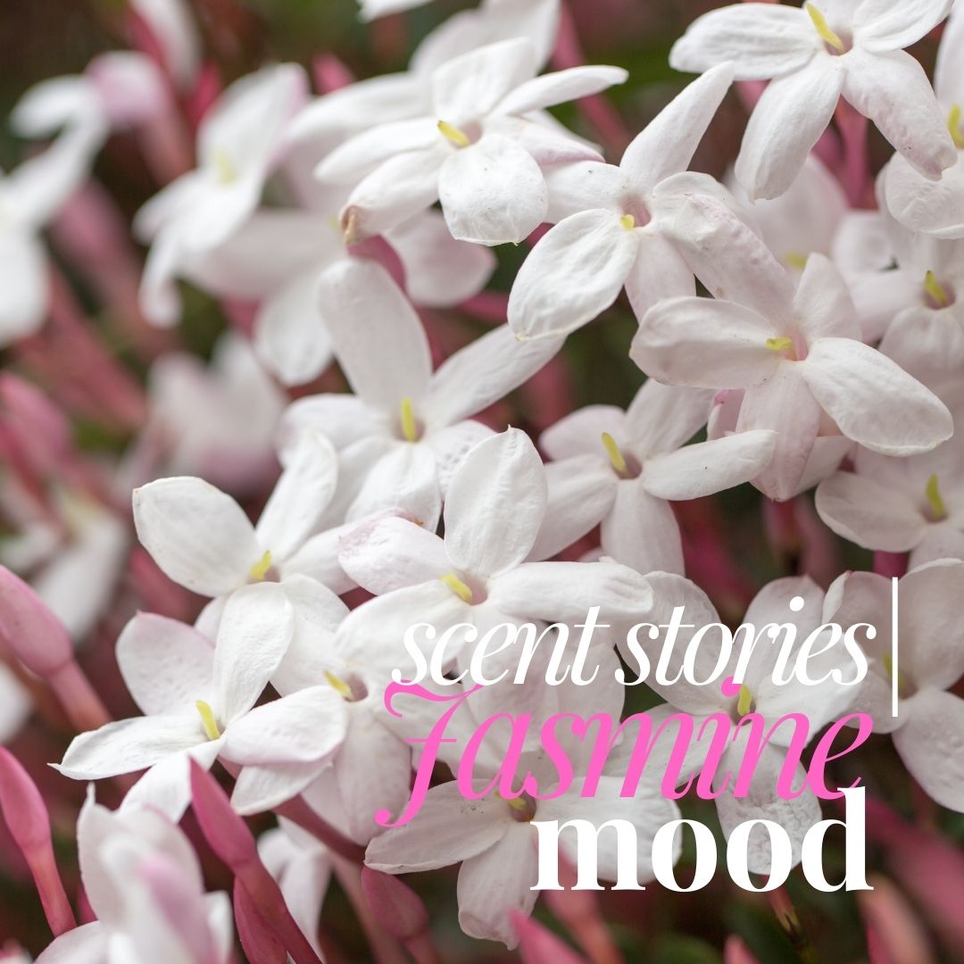 The Sensual Power of Jasmine: Why This Essential Oil is a Must-Have for Your Collection