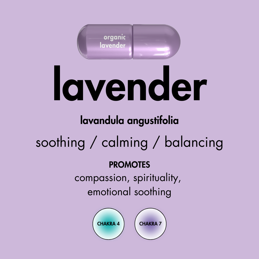 Lavender Moodzee Roller Ball