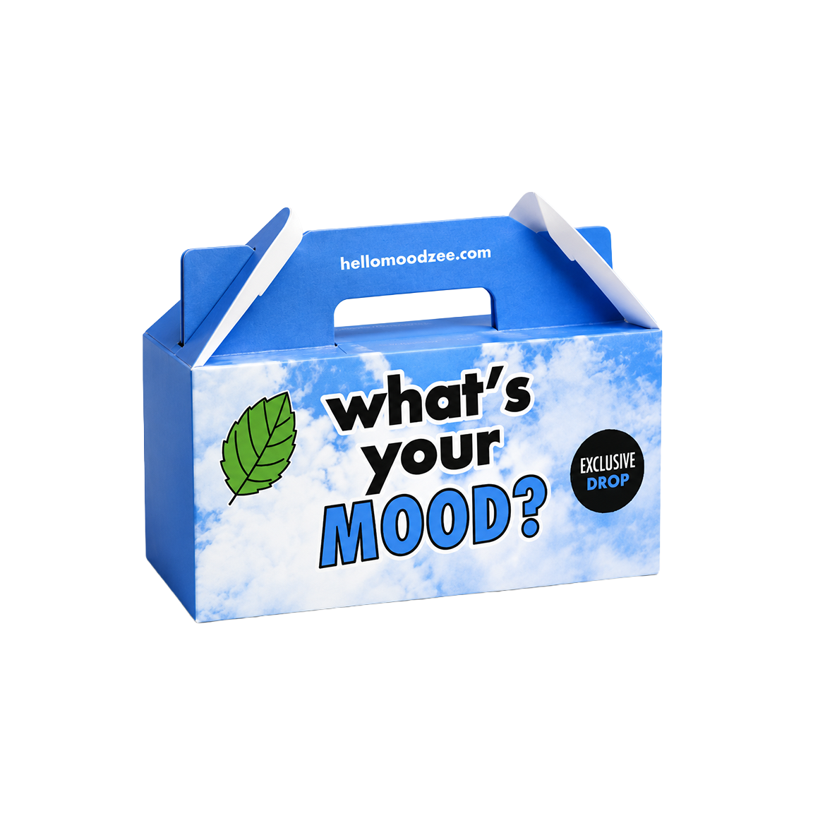 A blue cardboard product box with a handle, printed with the text 'what's your MOOD?' in black and blue, a green leaf icon, and a black circular badge reading 'EXCLUSIVE DROP'. The top flap shows the website 'hellomoodzee.