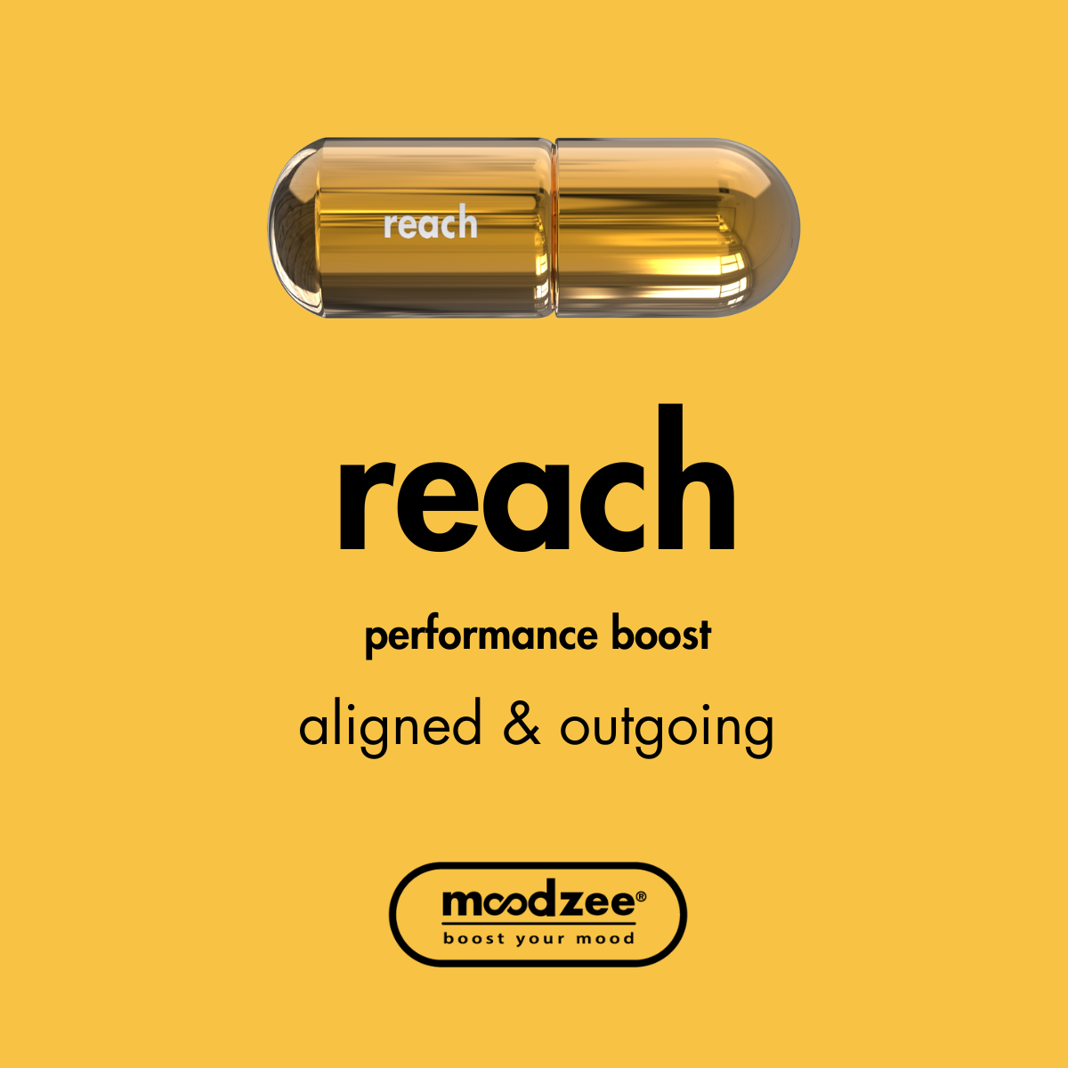 Reach Moodzee Roller Ball