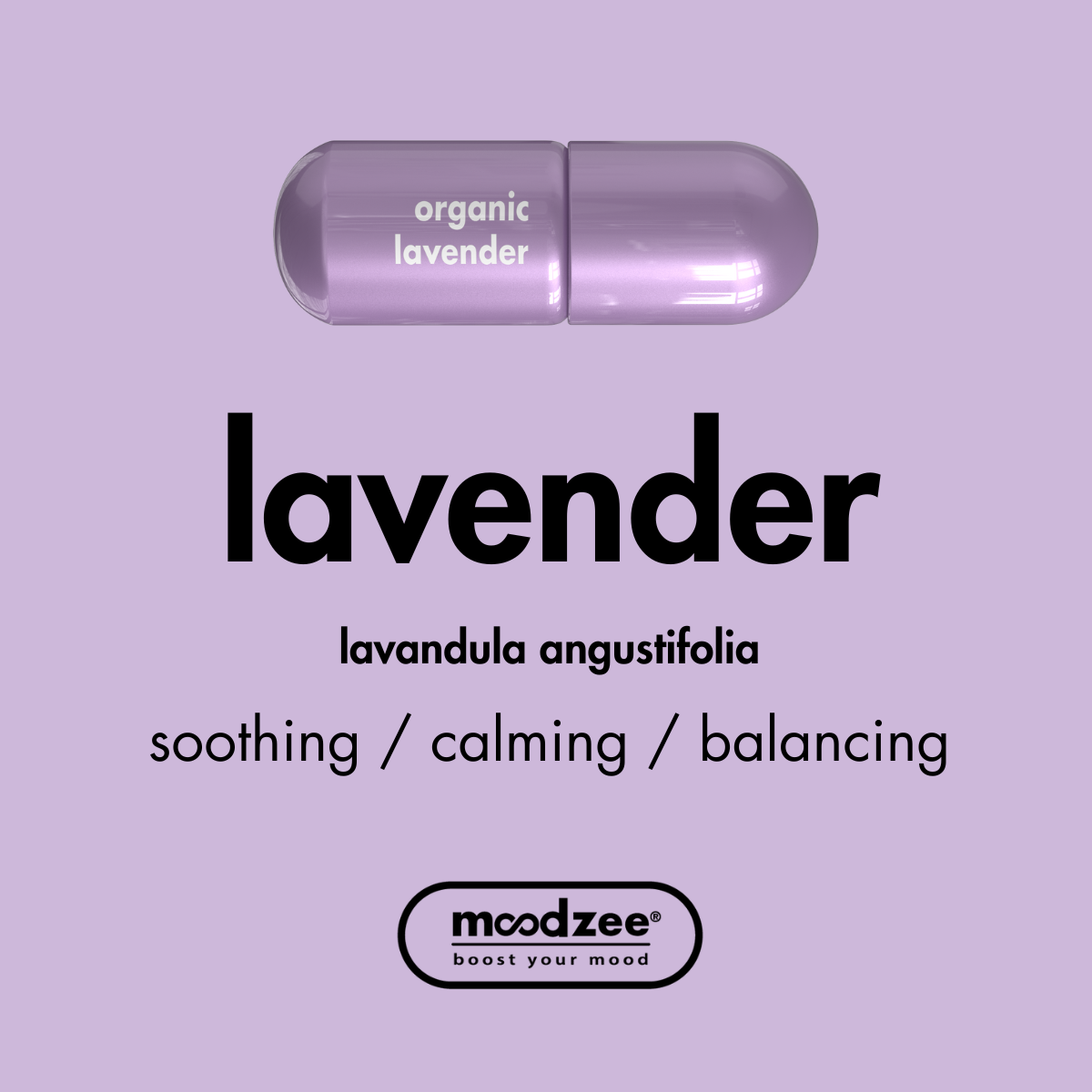 Lavender Moodzee Roller Ball