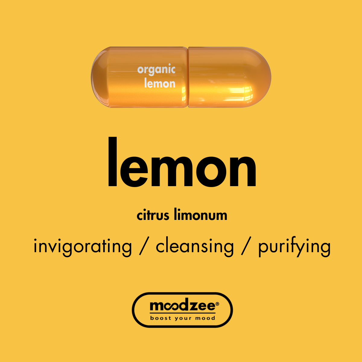 Lemon Moodzee Roller Ball