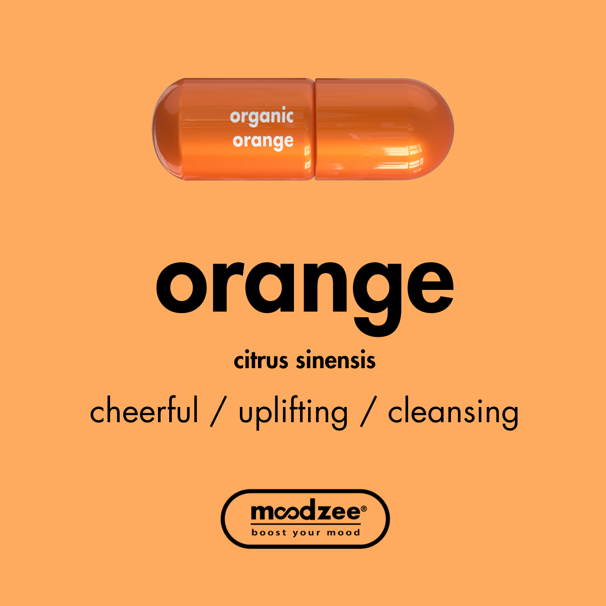 Orange Moodzee Roller Ball