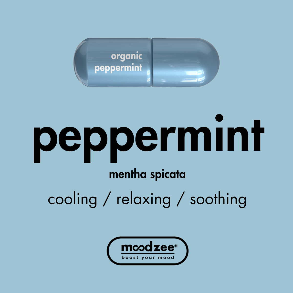 Peppermint Moodzee Roller Ball